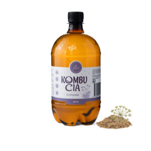 Kombučia su kmynais